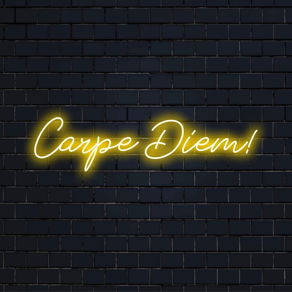 Placa de neon LED feita à mão com a frase Carpe Diem!, perfeita para uma exibição motivacional de luzes neon em qualquer espaço.
