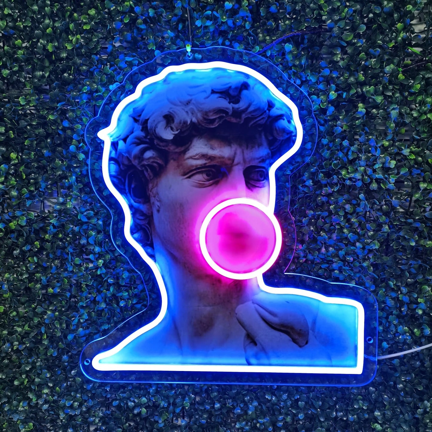 Placa de LED neon com impressão UV David Like Popo - The Art Neon