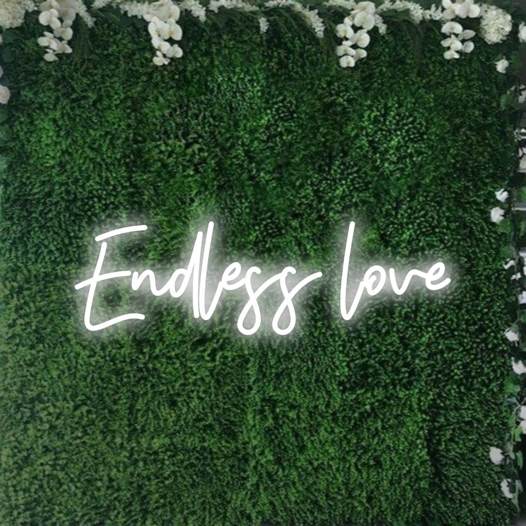 Placa de neon LED personalizada com Endless Love em cores vibrantes, perfeita para decoração de neon personalizada em qualquer ambiente.