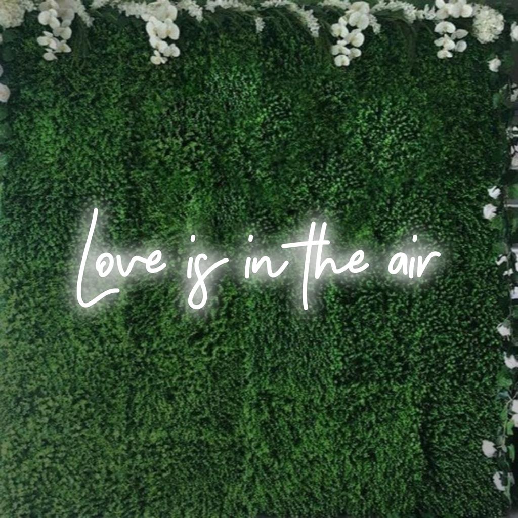 Letreiro de neon LED vibrante que irradia a mensagem "O Amor Está no Ar", ideal para decoração brilhante e criação de um ambiente romântico.
