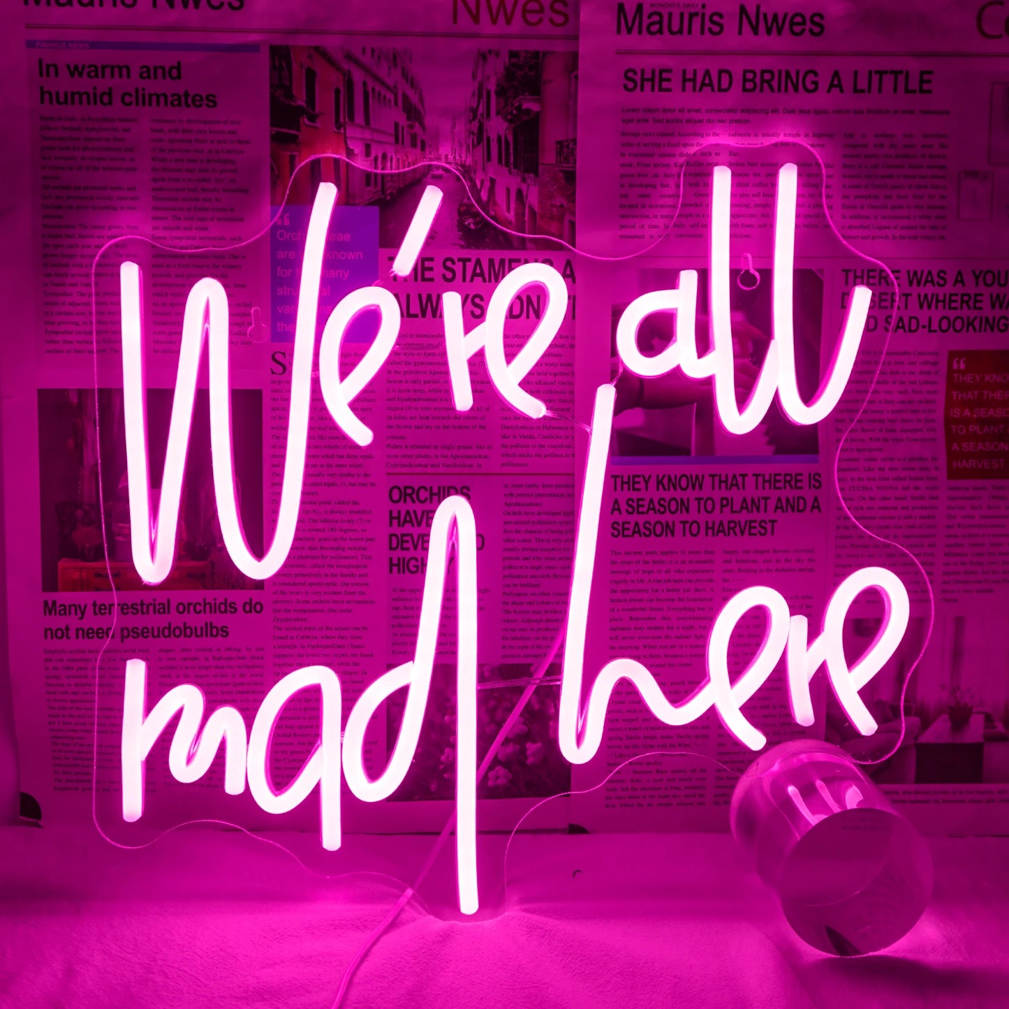 Uma placa de LED neon brilhante exibindo a frase "We're All Mad Here" em uma fonte cursiva e excêntrica.