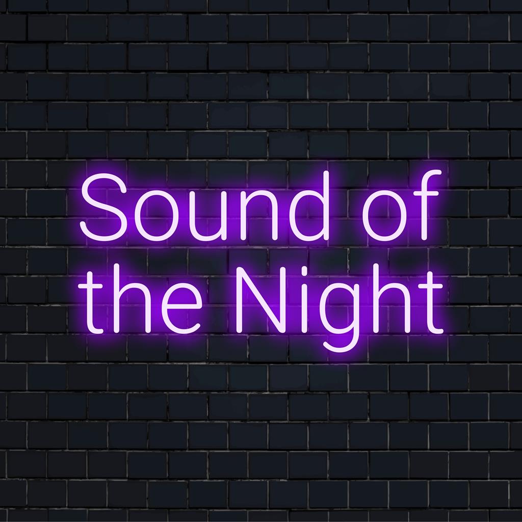 Placa de neon LED intitulada Sound Of The Night exibindo arte com luzes vibrantes, perfeita para decoração personalizada.