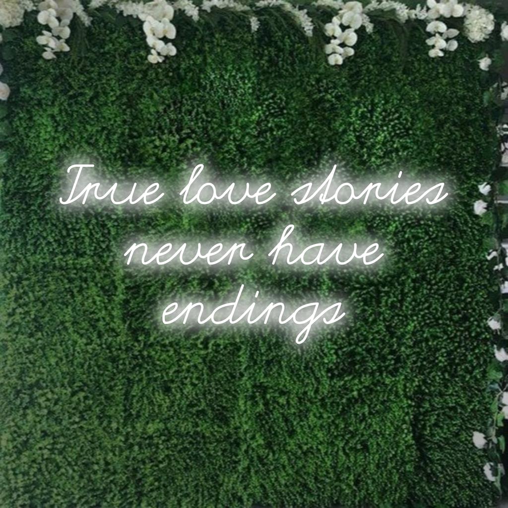 Uma vibrante placa de neon LED que diz Histórias de Amor Verdadeiras Nunca Têm Fim, perfeita para decoração personalizada; luz neon chamativa.
