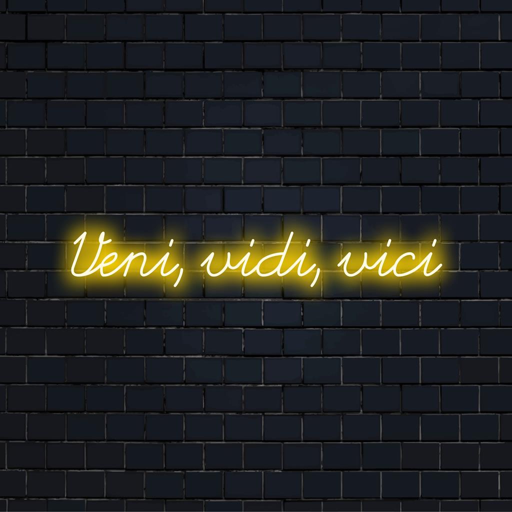 Placa de LED neon personalizada com Veni, Vidi, Vici, perfeita para adicionar um toque único a qualquer ambiente.