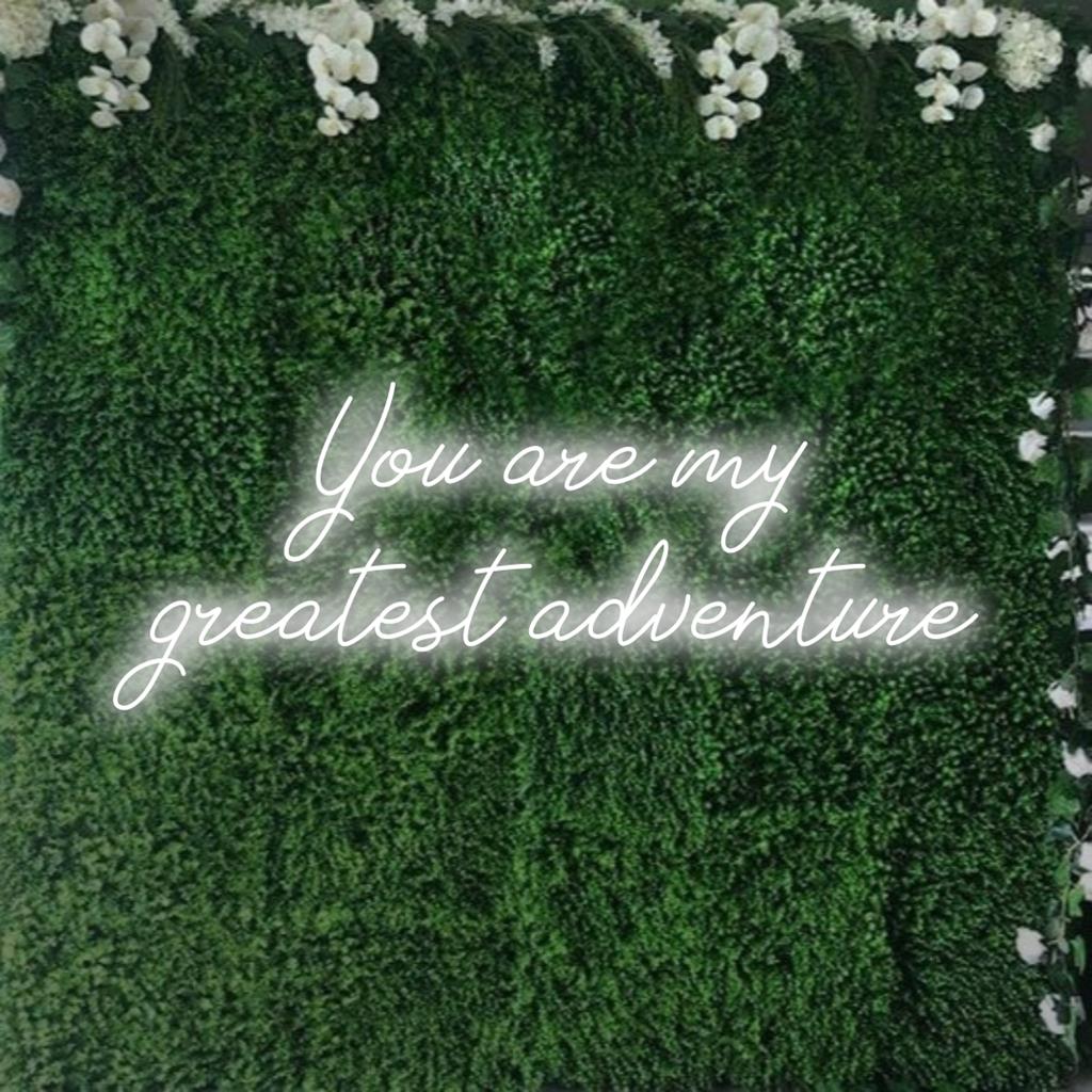 Placa de LED neon personalizada com a frase You Are My Greatest Adventure, perfeita para decoração neon personalizada.