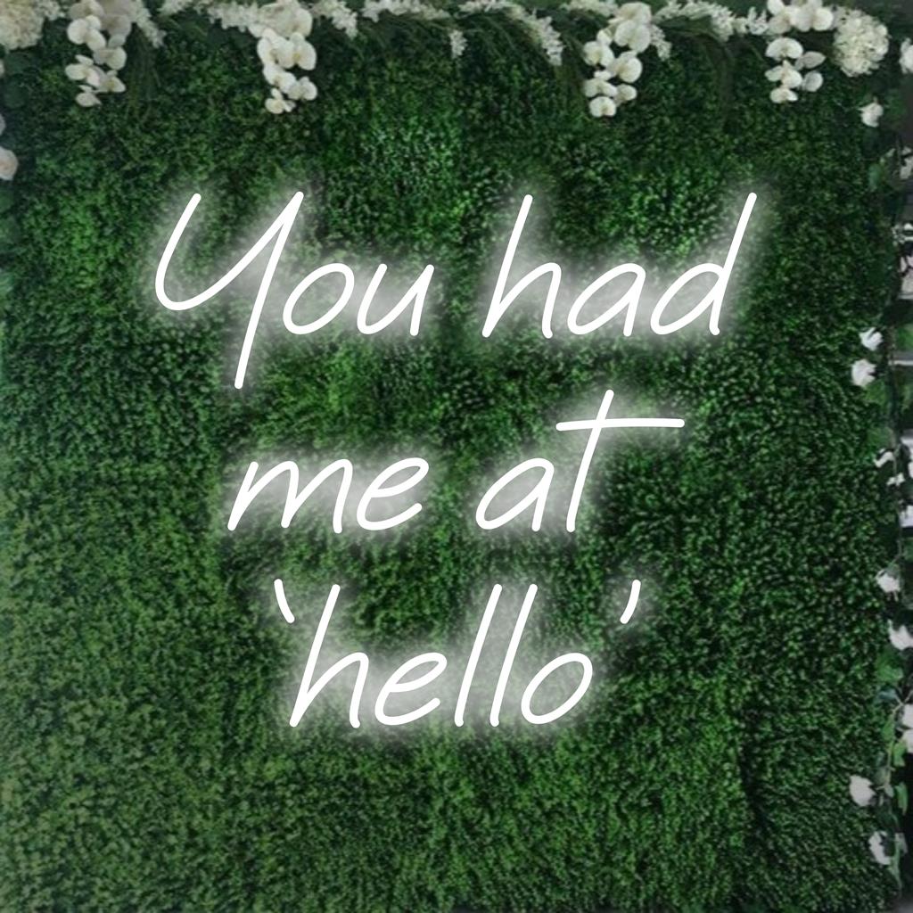 Placa de neon LED personalizada com a frase "You Had Me At 'Hello'", perfeita para decoração de parede personalizada e estilosa.