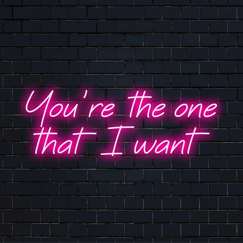 Placa de neon LED personalizada com a frase "You're The One That I Want" escrita em uma fonte elegante, ideal para decoração de neon personalizada.