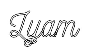 Outline Image