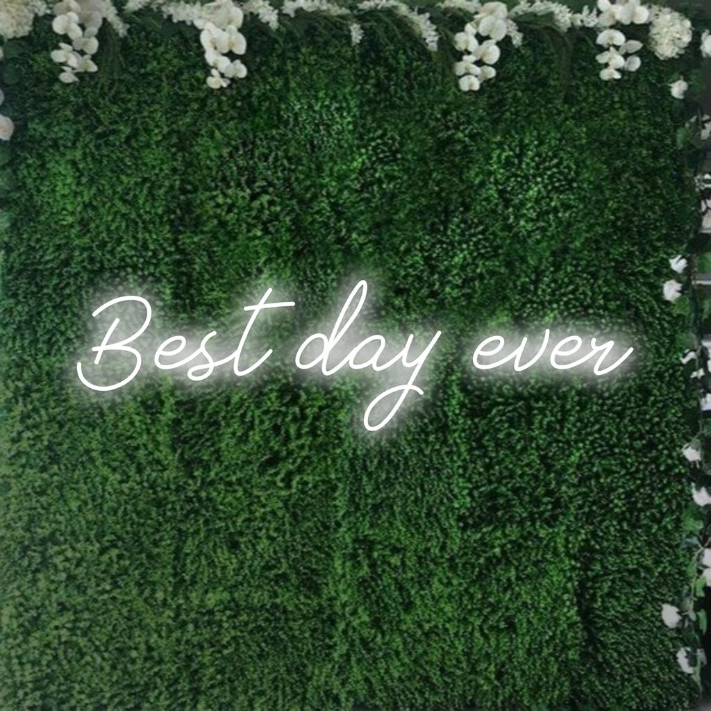 Placa de LED neon brilhante "O Melhor Dia de Todos"; decoração personalizada versátil que inspira positividade e alegria.