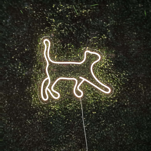 Letreiro de Neon de Gato - The Art Neon