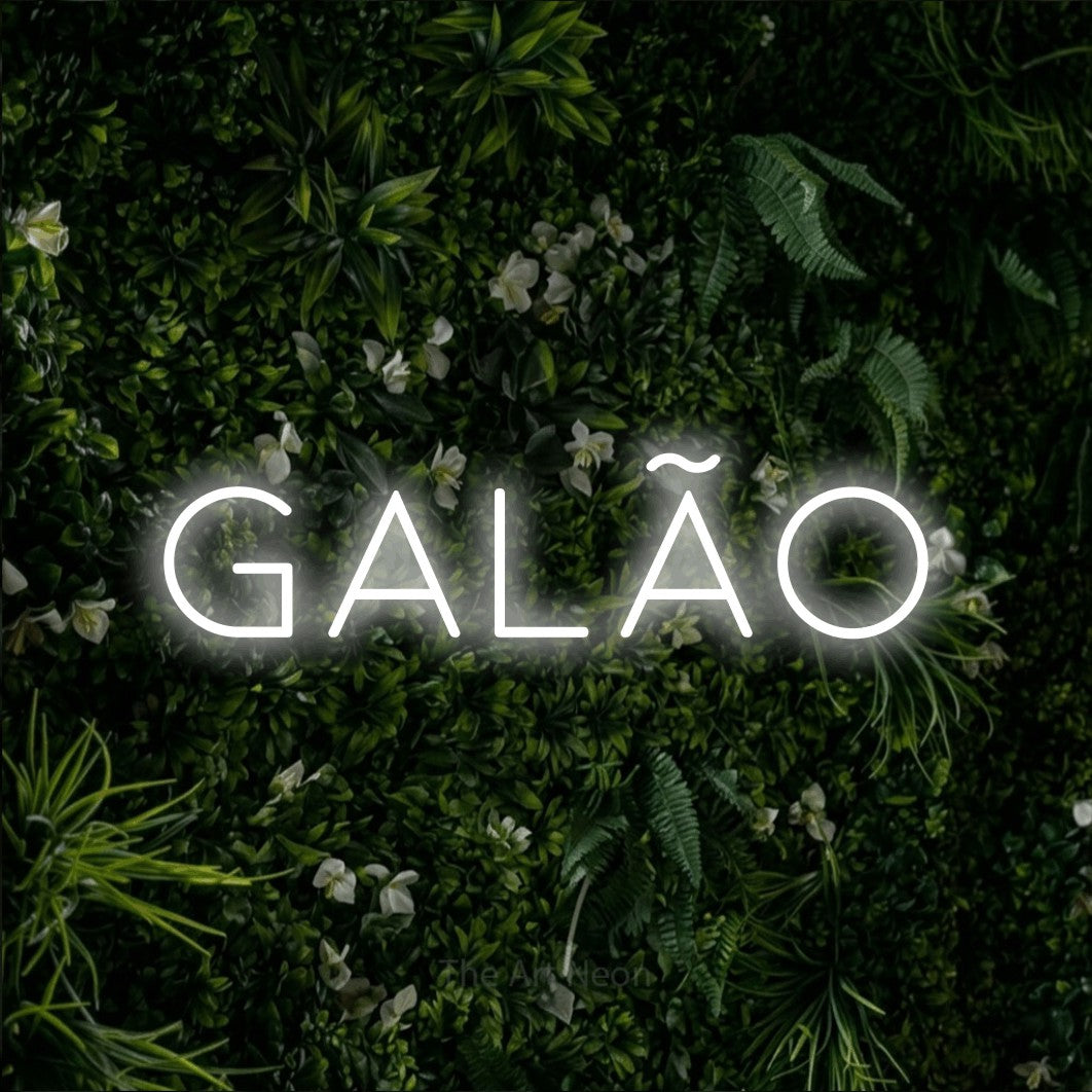 LED neon sign reading “GALÃO”, arranged in a single line.