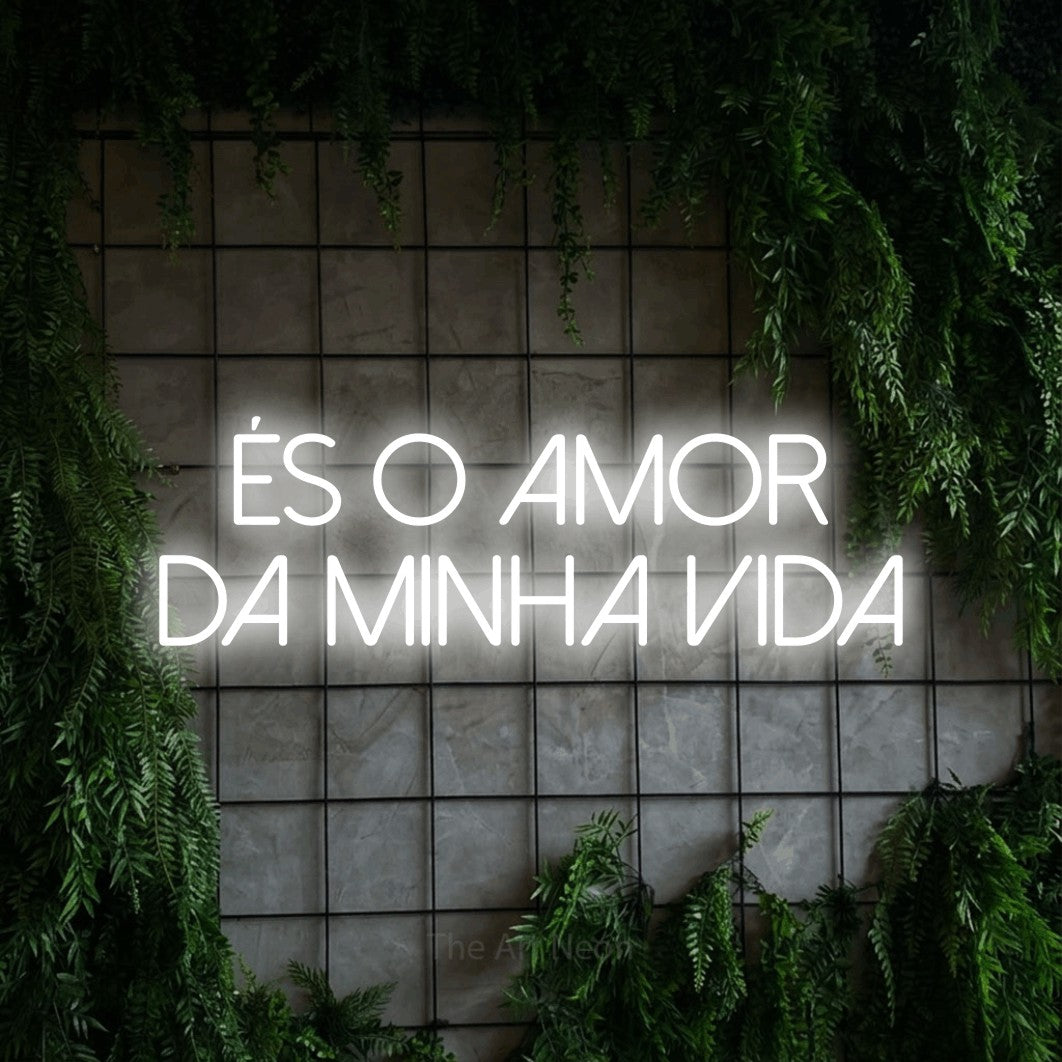 LED neon sign reading “ÉS O AMOR DA MINHA VIDA”, arranged in 2 lines.