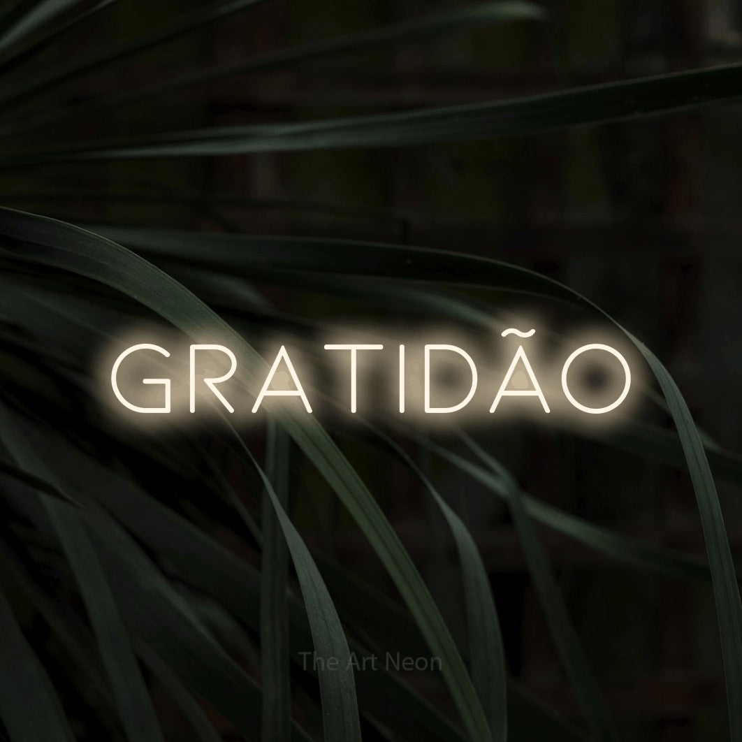 LED neon sign reading “Gratidão”, arranged in a single line.