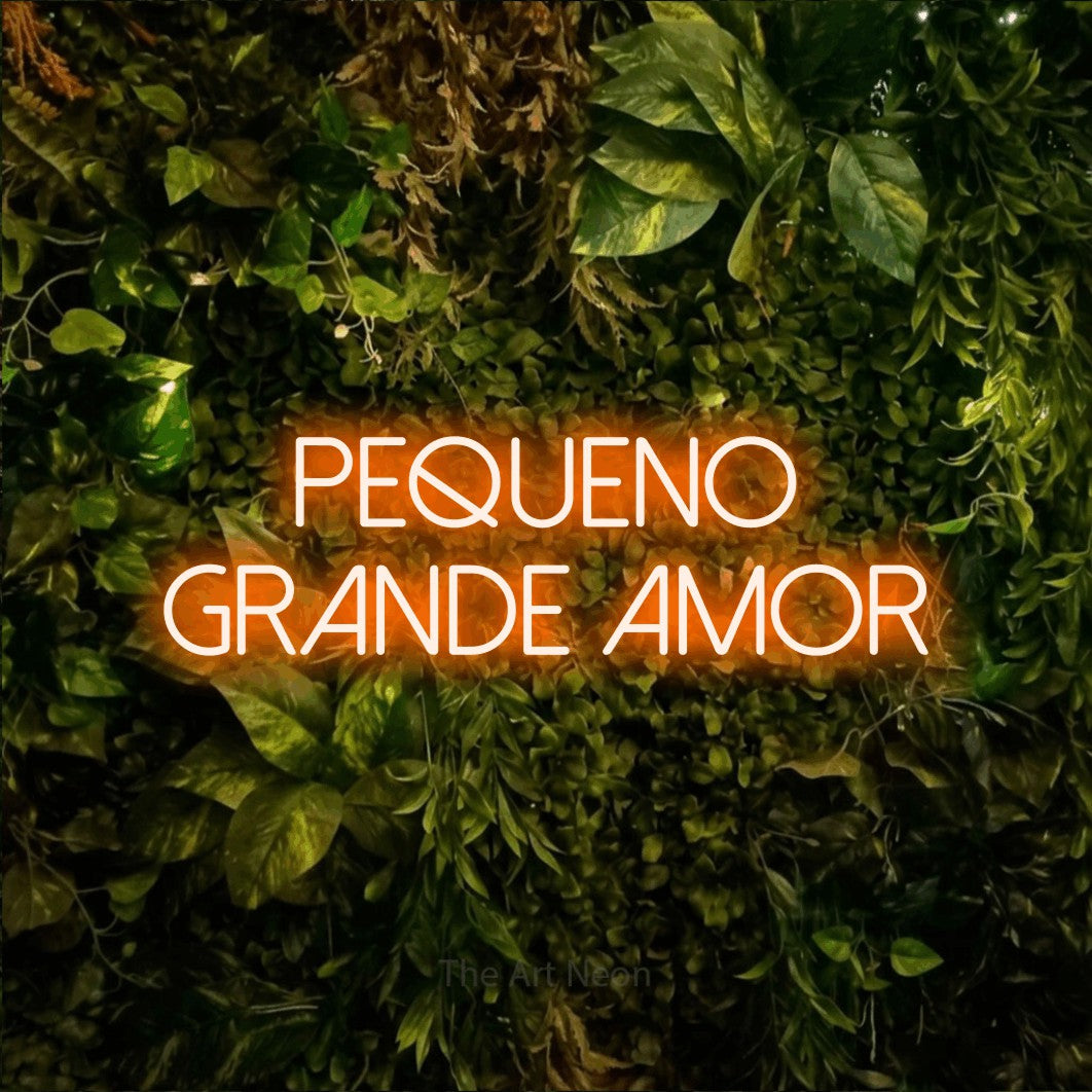 LED neon sign reading “pequeno grande amor”, arranged in 2 lines.