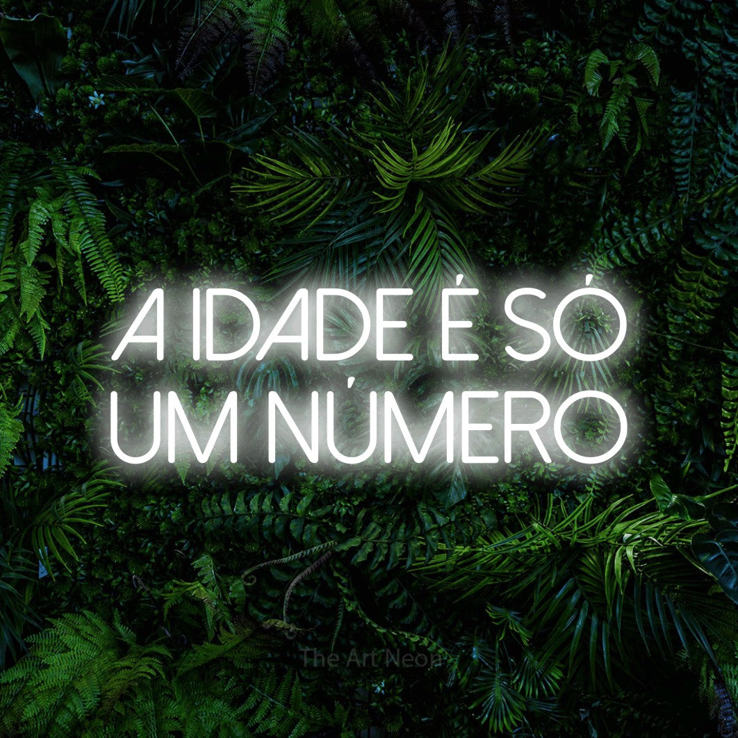 LED neon sign reading “a idade é só um número”, arranged in 2 lines.