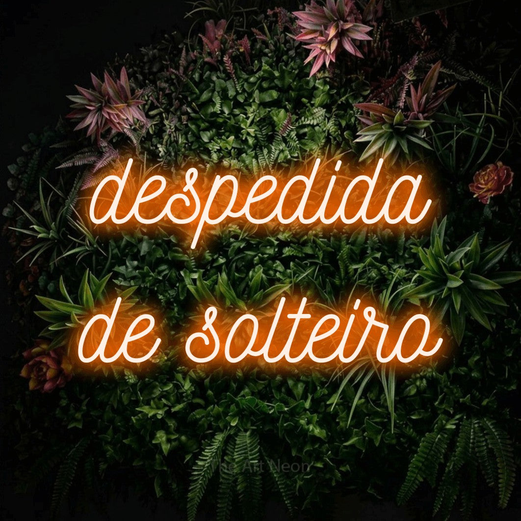 LED neon sign reading “despedida de solteiro”, arranged in 2 lines.