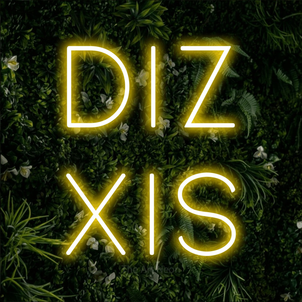 LED neon sign reading “diz xis”, arranged in 2 lines.
