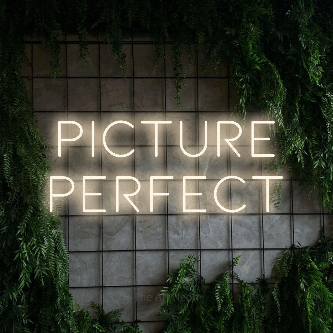 LED neon sign reading “PICTURE PERFECT”, arranged in 2 lines.