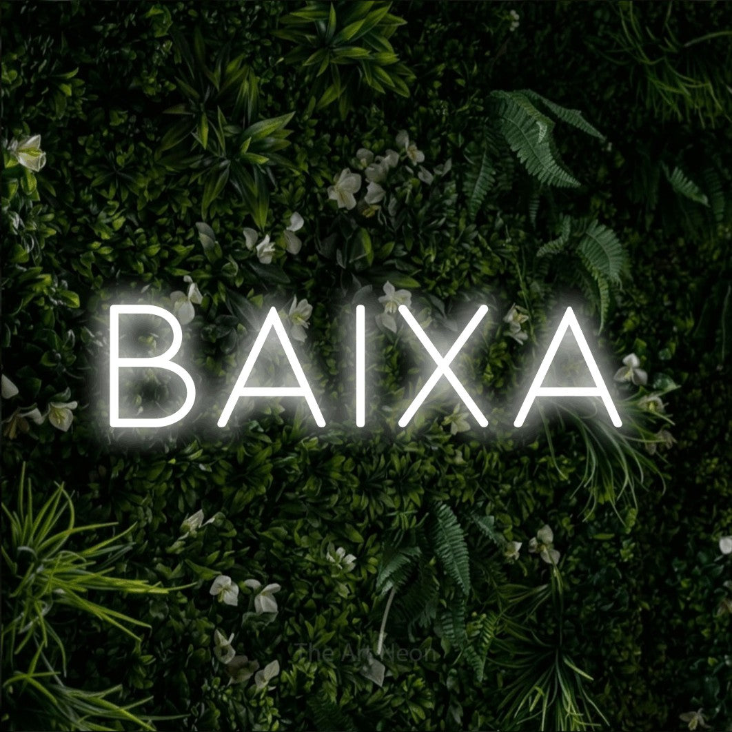 LED neon sign reading “BAIXA”, arranged in a single line.