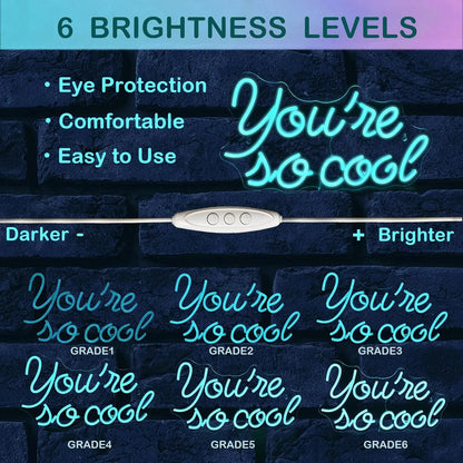 Ice Blue You Are So Cool 5V USB LED Neon Sign - Budget Friendly