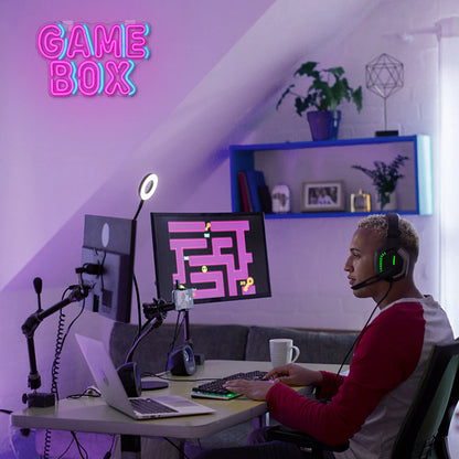 Game Box 5V USB LED Neon Sign - Budget Friendly