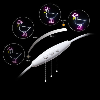 Letreiro Luminoso LED USB 5V Pato Cowboy Rosa e Branco - Econômico