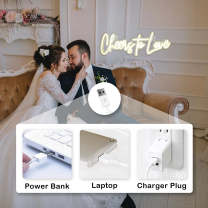 Cheers to Love 5V USB Letreiro de LED - Econômico
