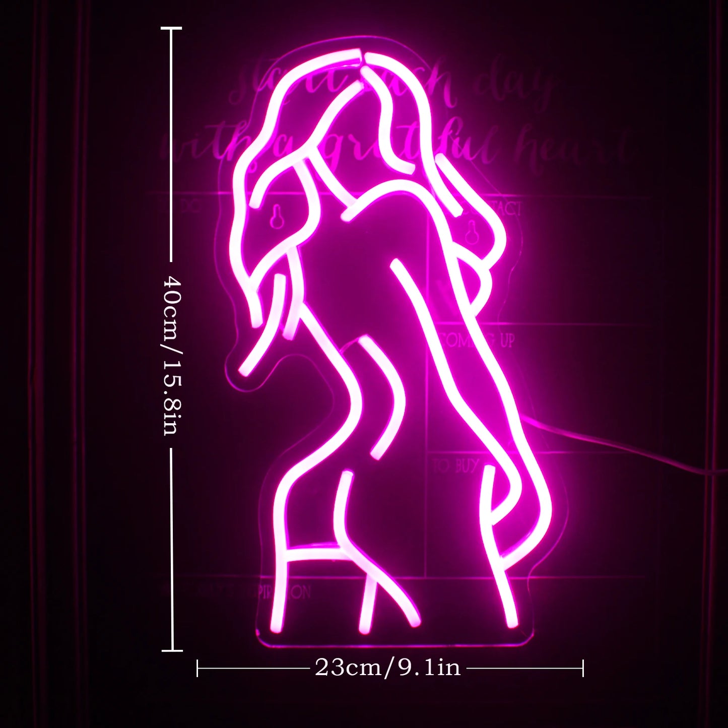 Placa de LED Sexy Lady 5V USB - Econômica