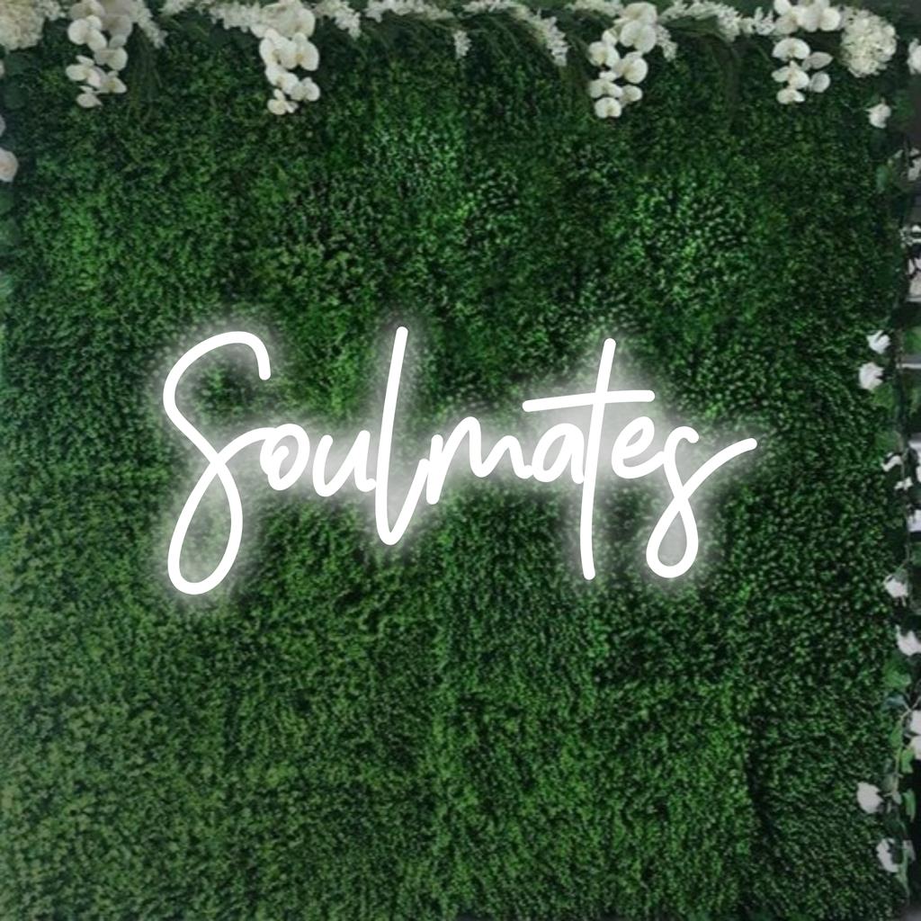Placa de neon LED colorida e personalizada com a palavra Soulmates brilhando intensamente, perfeita para decoração personalizada com luz neon.