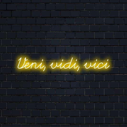 Custom LED neon sign featuring Veni, Vidi, Vici, perfect for adding a unique touch to any setting.