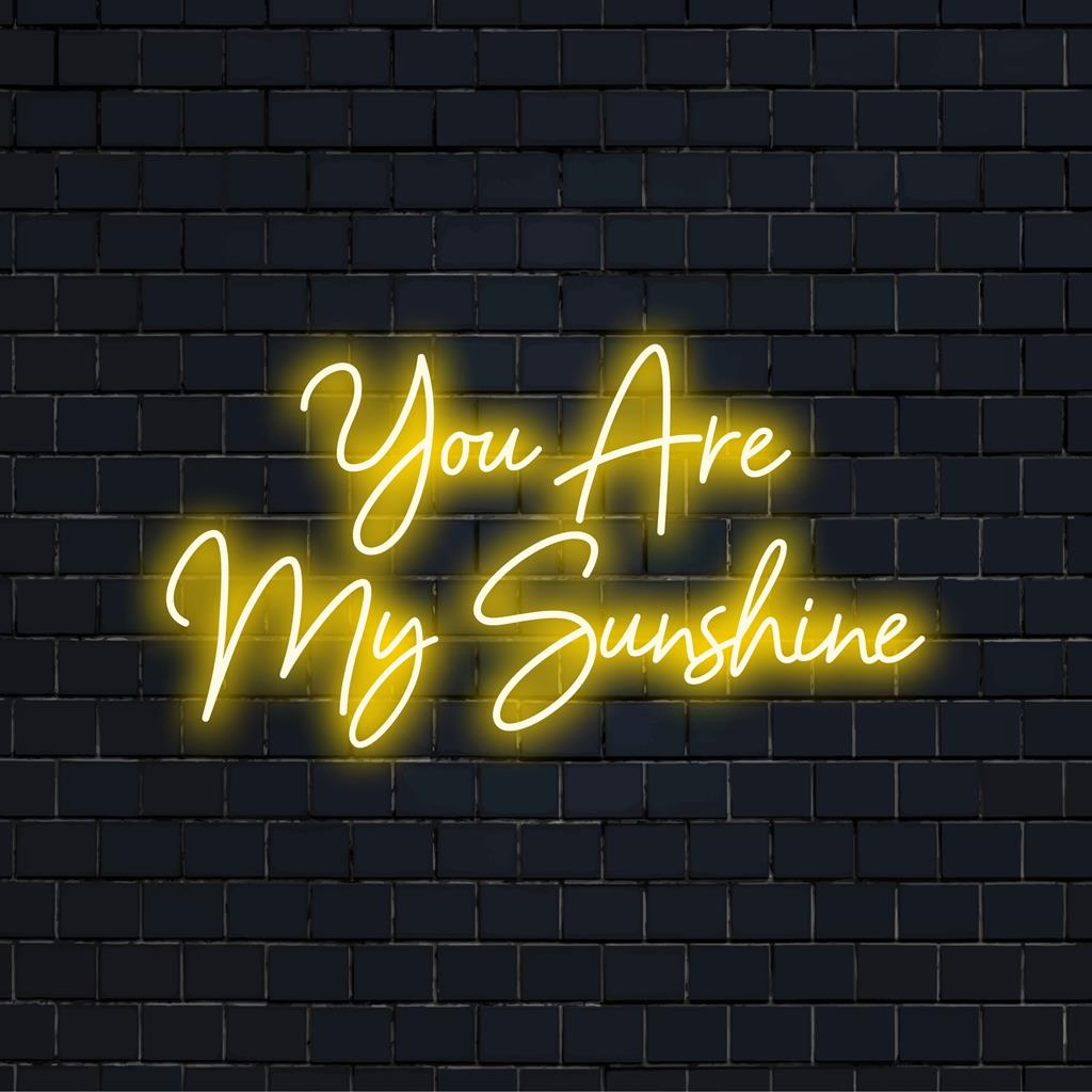 Custom LED neon sign spelling You Are My Sunshine; adds vibrant neon light decor to any space.
