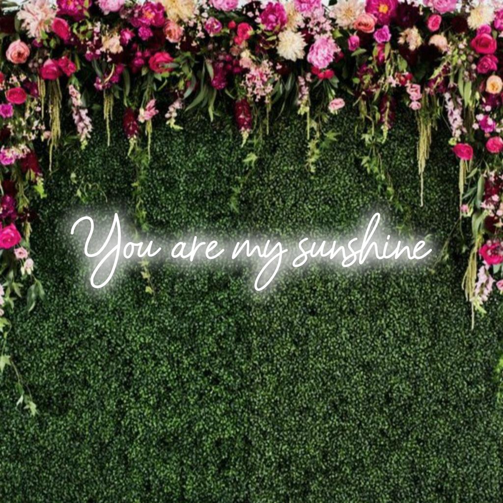 Custom LED neon sign the reads You Are My Sunshine in bright yellow; adds warm, personalized touch to your space.