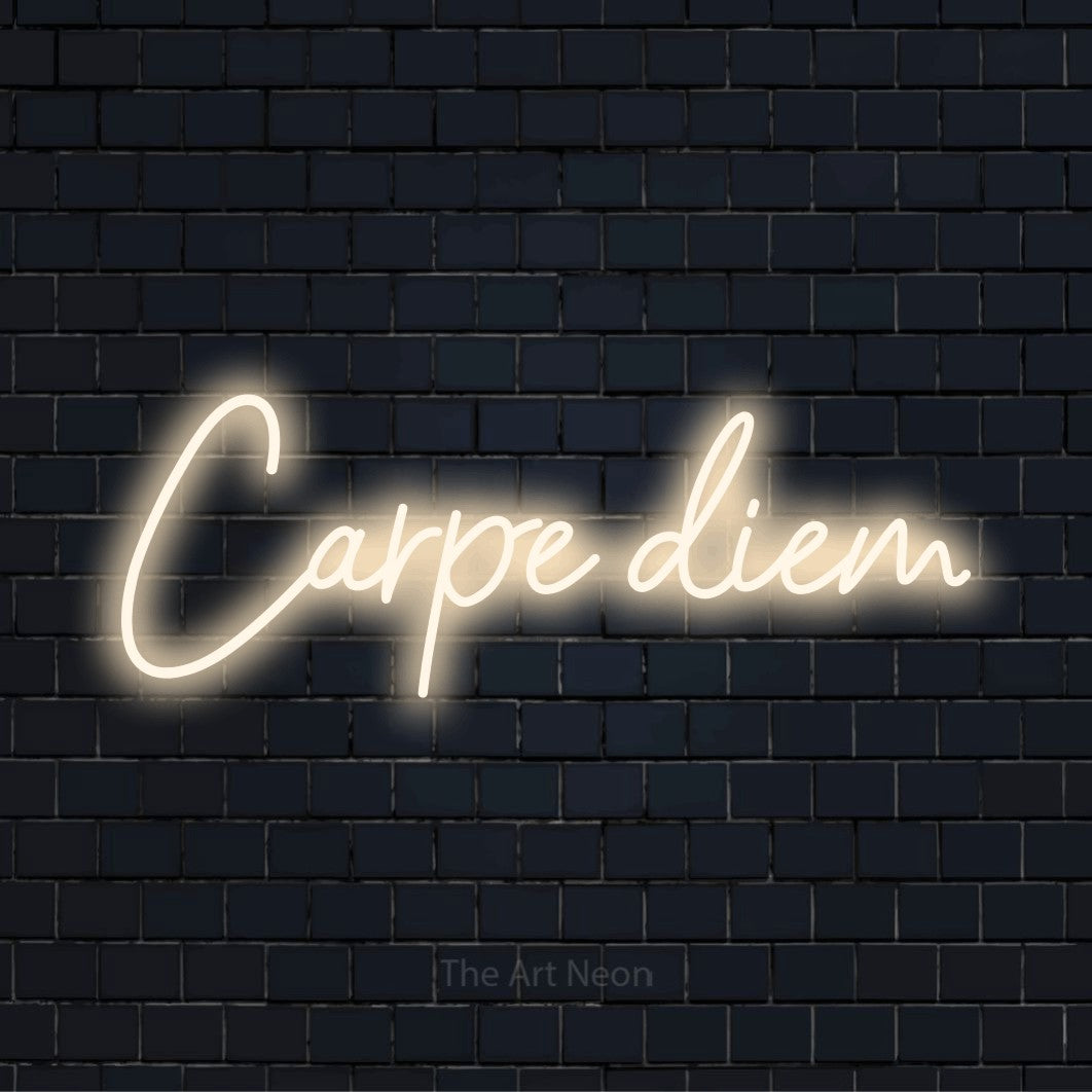 "Carpe Diem" neon text design on a black brick wall