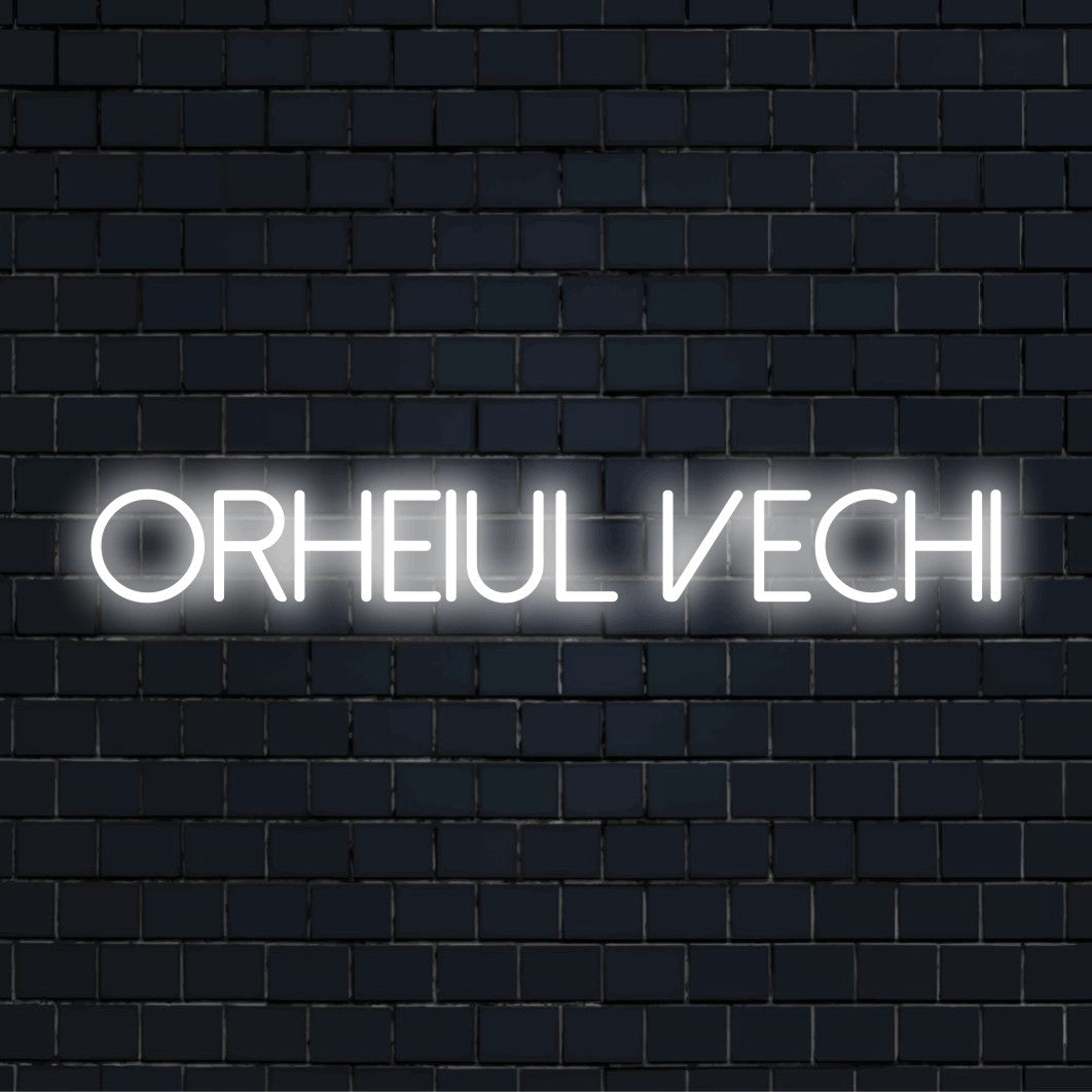 Orheiul Vechi Neon Light with glowing neon text on black brick background