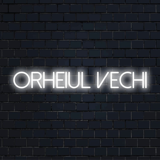 Orheiul Vechi Neon Light with glowing neon text on black brick background