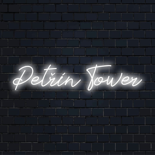 Pet N Tower Neon Sign, bright neon lettering on dark brick background