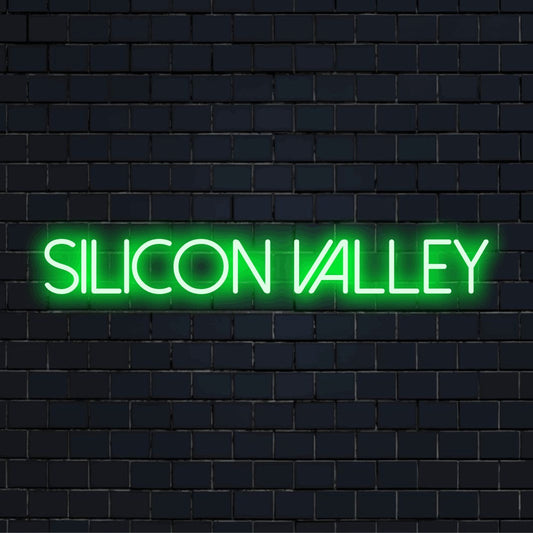 Silicon Valley Neon Light with bright neon lettering on dark brick background