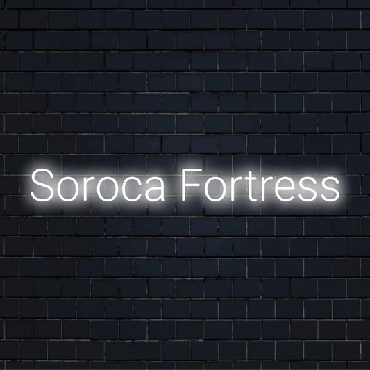 St Elisabeth Cathedral Neon Light with neon text light on black brick background