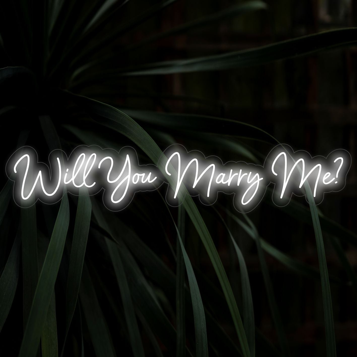 Letreiro de LED Neon "Quer se casar comigo?" - The Art Neon